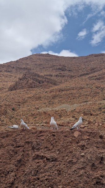 آيت زاغار #1