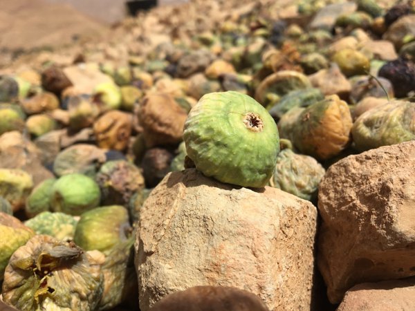 آيت زاغار #1