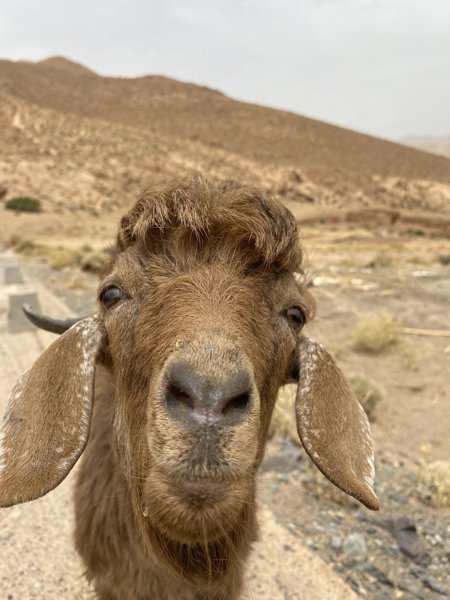 آيت زاغار #1