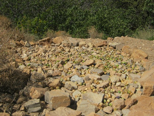 آيت زاغار #1