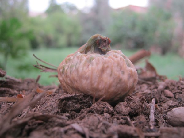 آيت زاغار #1