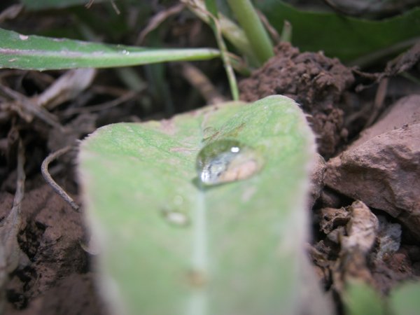 آيت زاغار #1