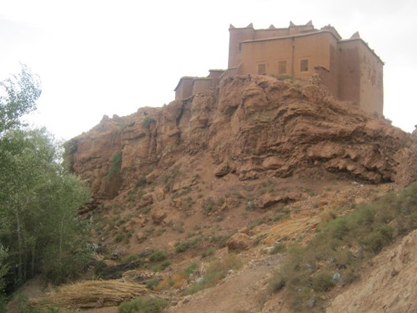 Tazouda #1