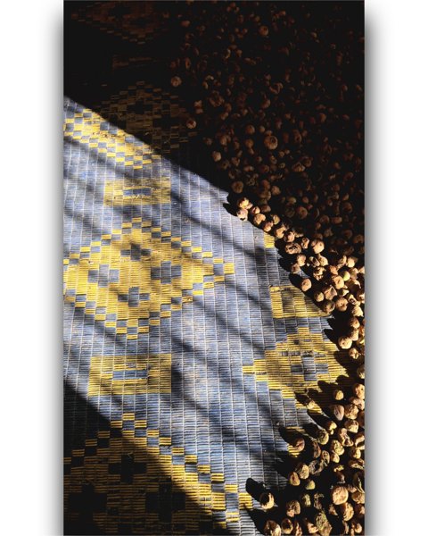 صورة فنية #1