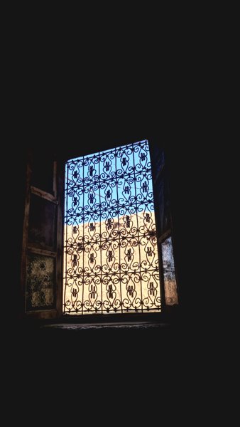 صورة فنية #1