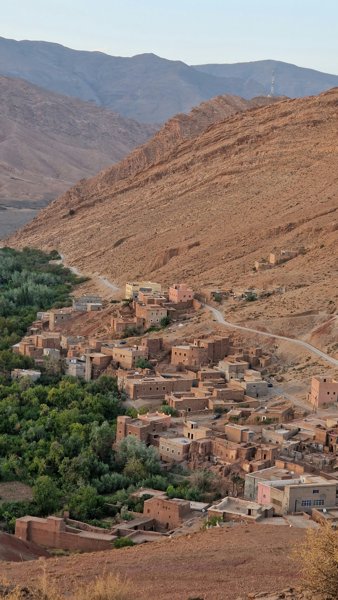 صورة فنية #1