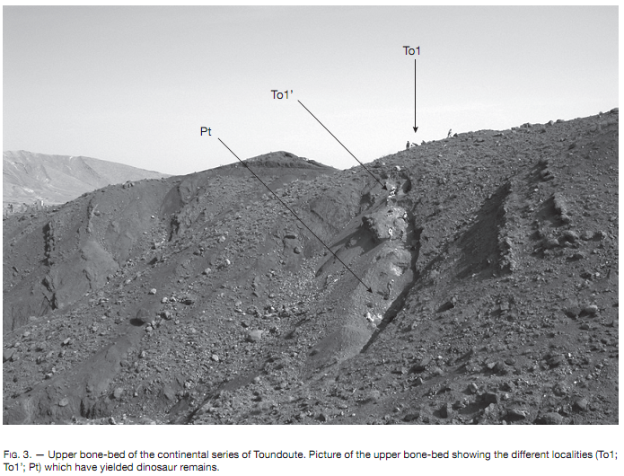 Researchers carefully documenting the positions of extracted fossil pieces at the Tazouda excavation site
