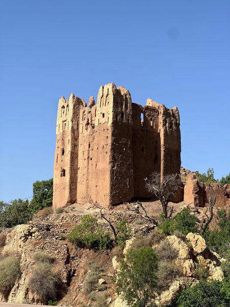 تامسولت