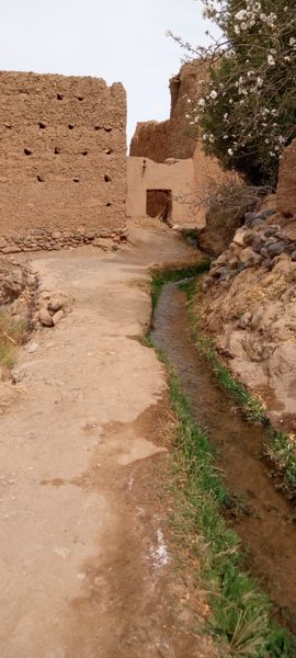 Amkchoud #1
