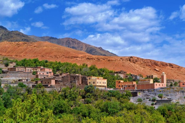 تينزار #1